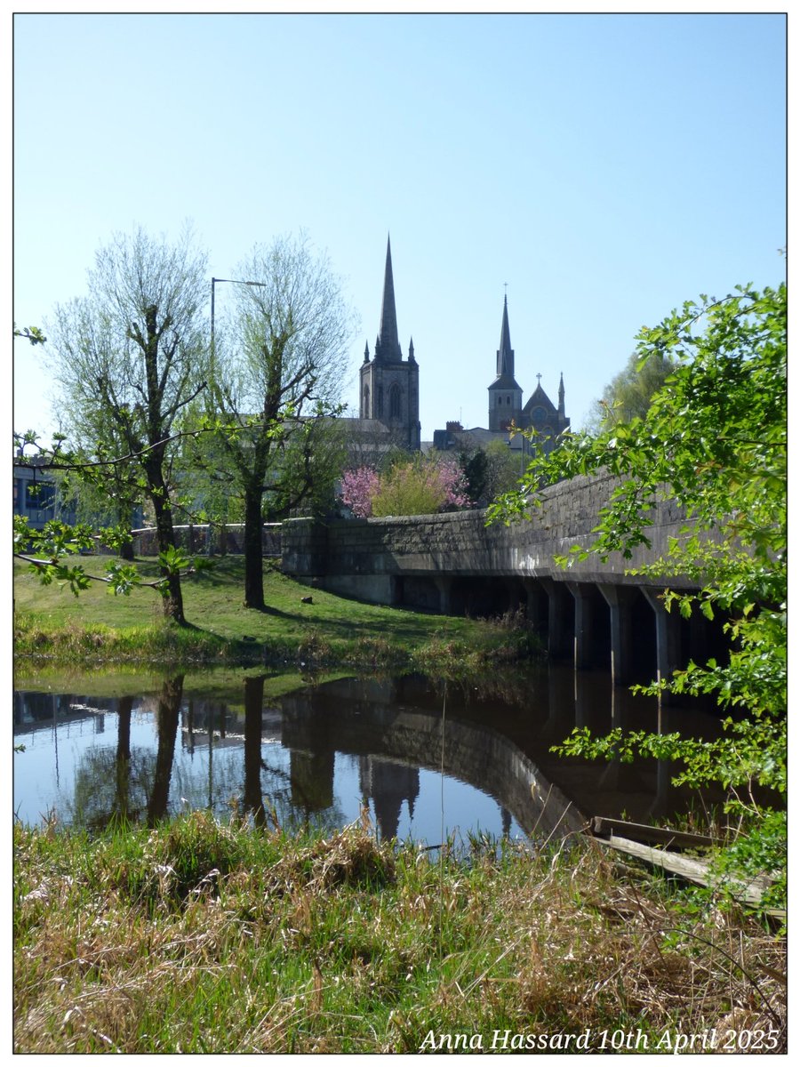 AnnaInFermanagh's tweet image. 