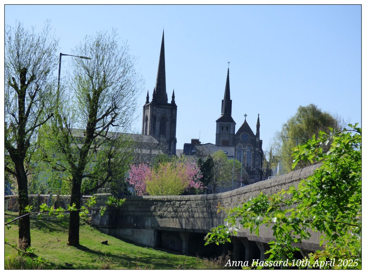 AnnaInFermanagh's tweet image. 