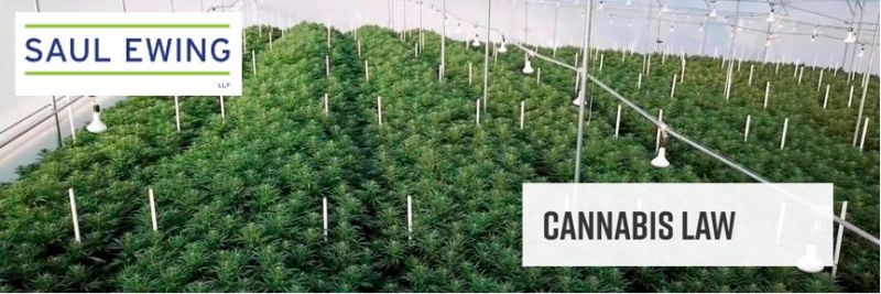 Here's this week's #cannabis + #psychedelics news you can use. #DEA says stalled #marijuana #rescheduling process awaits action from agency head, big players enter #hemp-derived #THC #beverages market, NM passes #psilocybin access act &amp; more. 

linkedin.com/posts/jonathan…