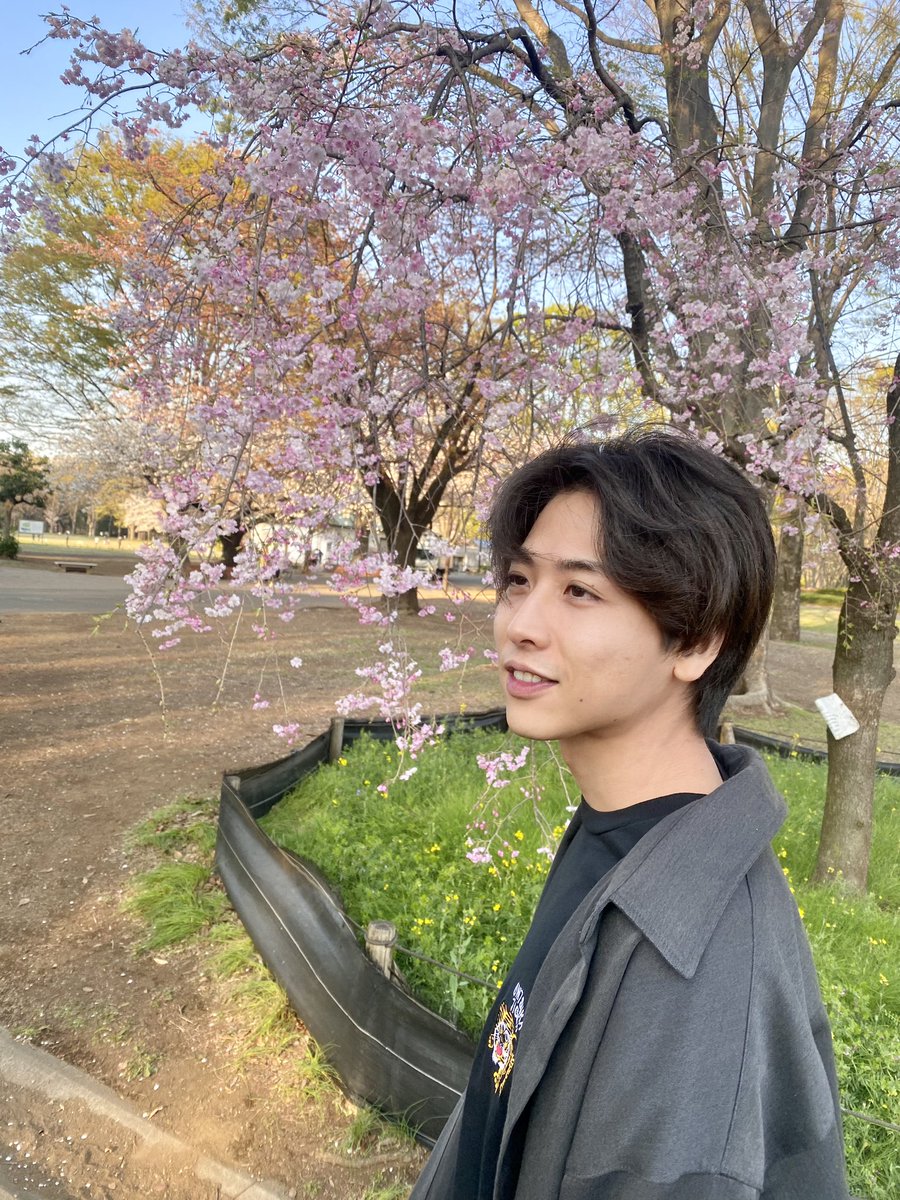 kbykw_shnsk's tweet photo. #いけぴーとお花見デートなうに使っていいよ https://t.co/FcI6NCoKre