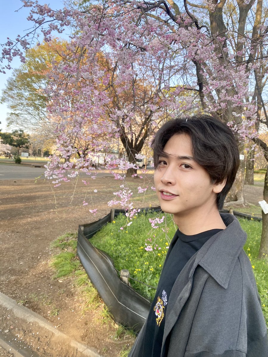 kbykw_shnsk's tweet photo. #いけぴーとお花見デートなうに使っていいよ https://t.co/FcI6NCoKre