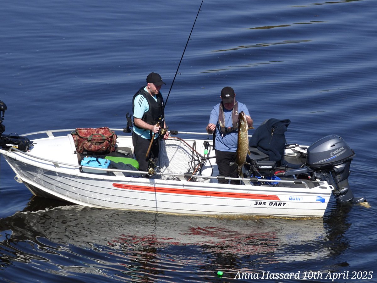 AnnaInFermanagh's tweet image. 