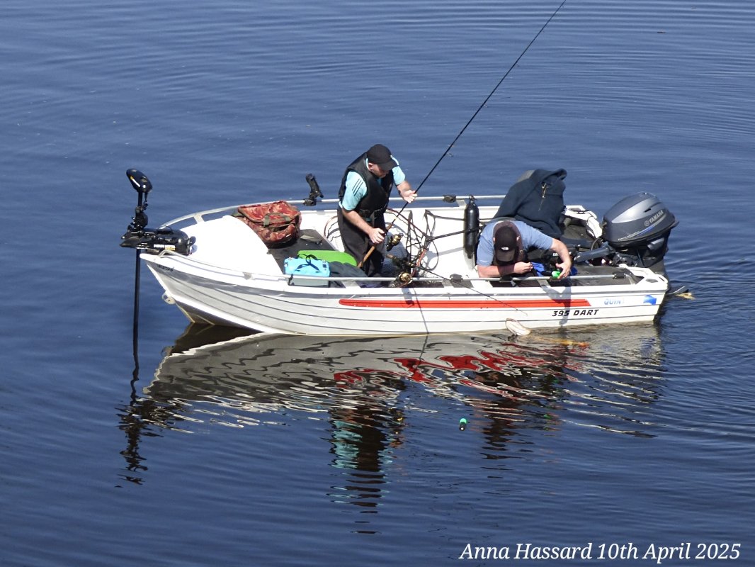 AnnaInFermanagh's tweet image. 