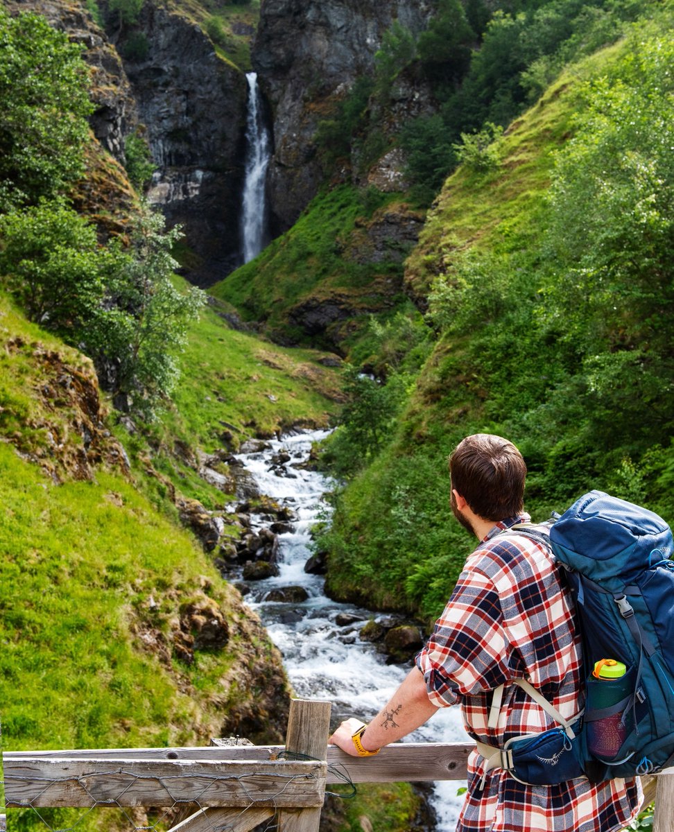 Fjordsafari's tweet photo. ☀️ Wondering what to do this summer? We’ve got you covered! ⁠ 🌊🏔️

Check out our Top 10 Summer Guide on our News Page to make sure you don’t miss out on the best experiences our fjord villages have to offer; https://t.co/sE6yjgVzva https://t.co/EGHmDA1mjy