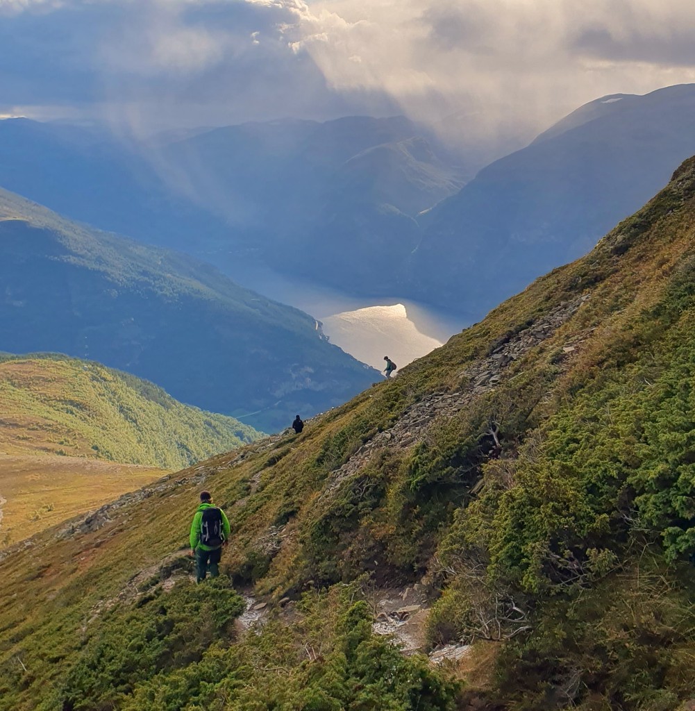 Fjordsafari's tweet photo. ☀️ Wondering what to do this summer? We’ve got you covered! ⁠ 🌊🏔️

Check out our Top 10 Summer Guide on our News Page to make sure you don’t miss out on the best experiences our fjord villages have to offer; https://t.co/sE6yjgVzva https://t.co/EGHmDA1mjy