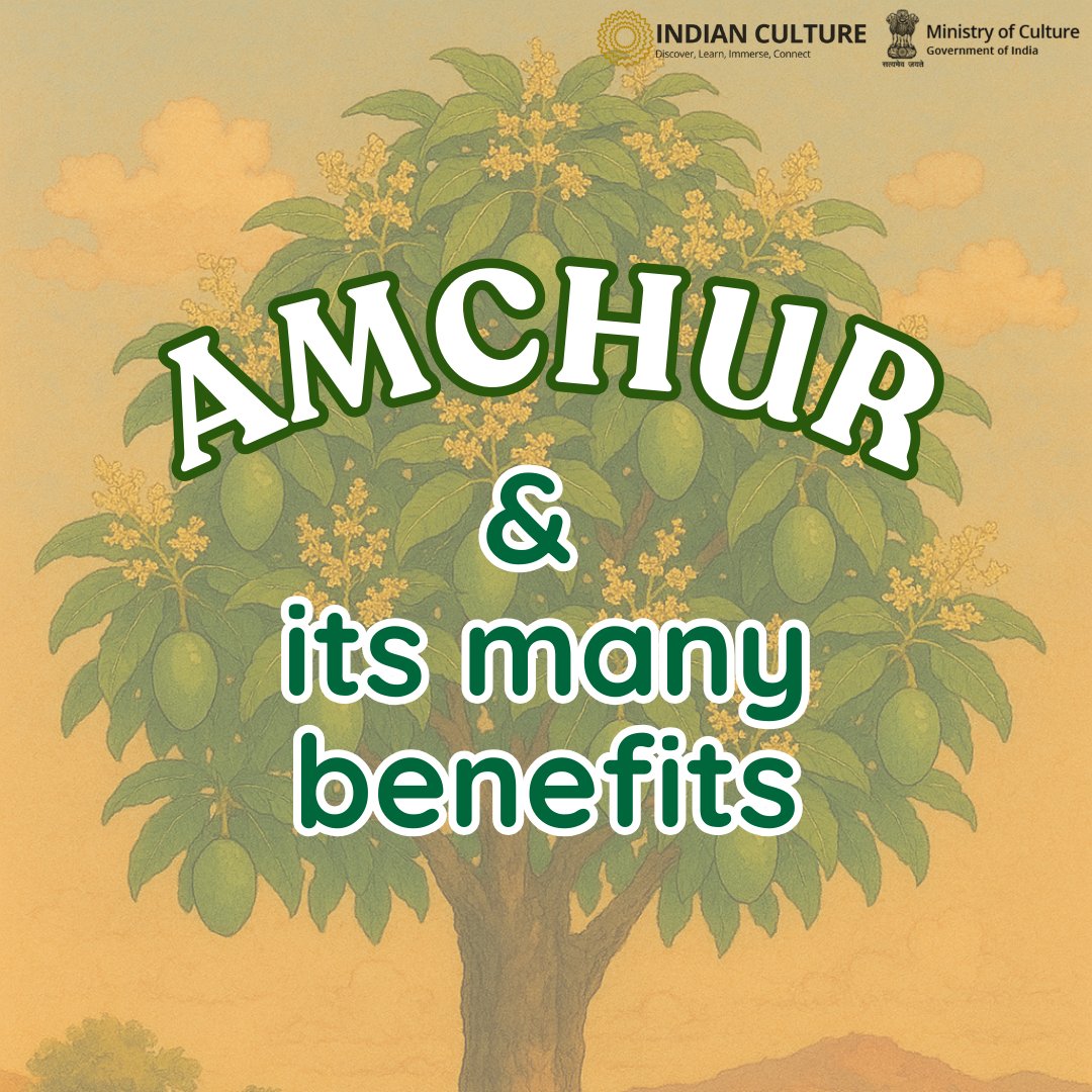 _IndianCulture's tweet photo. Amchur, a tangy spice made from sun-dried green mango, offers many health benefits!
Discover more about the Herbs & Spices of India on https://t.co/gSQIs2LXIU
#amchur #mangopowder #amchurbenefits #digestion #naturalvitaminsources #spicesofindia #herbsandspices #foodandculture https://t.co/hpsTDpU5lJ