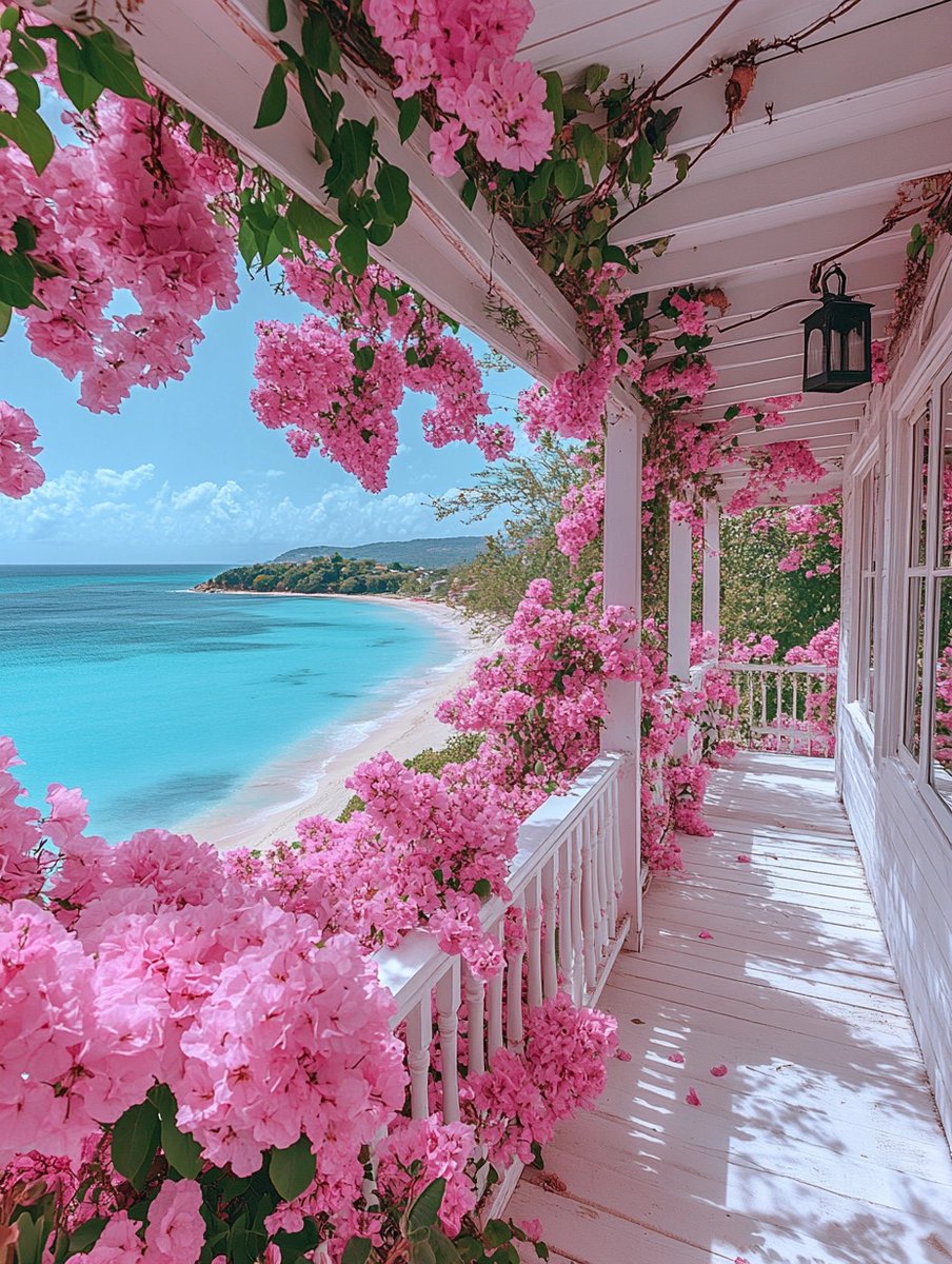 dany_grazia's tweet image. A true corner of paradise 🌸🌊
Bougainvillea in bloom, dream sea view.