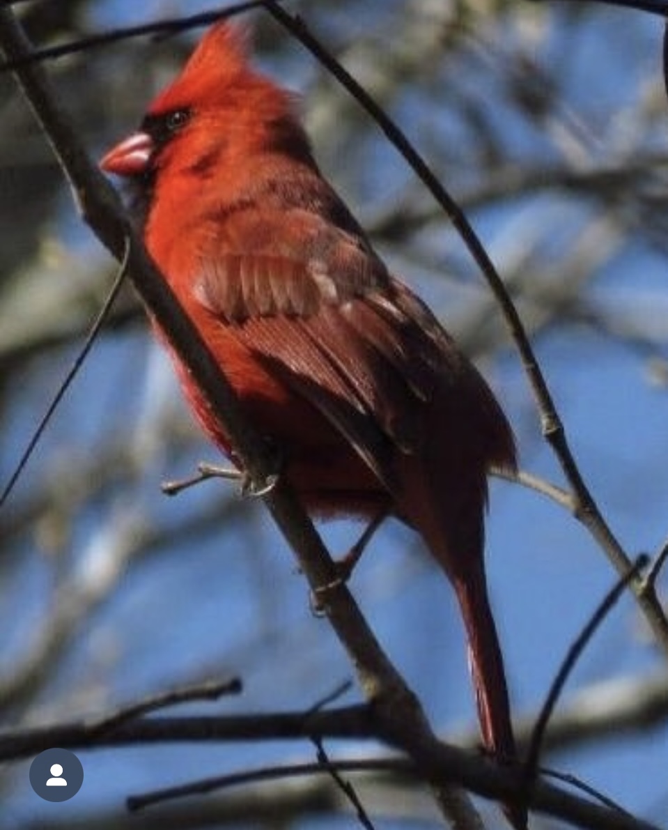 The Parklands tweet media