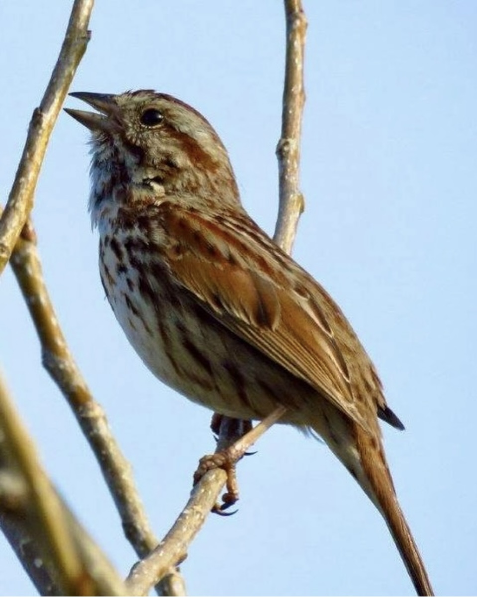 The Parklands tweet media