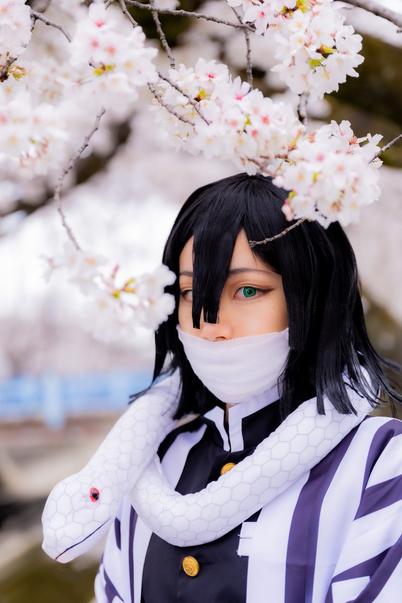 cos/kmt

君
想
う
春
｜

photo:<a href="/zengo1005/">ZenGO</a> (ZenGOさん)