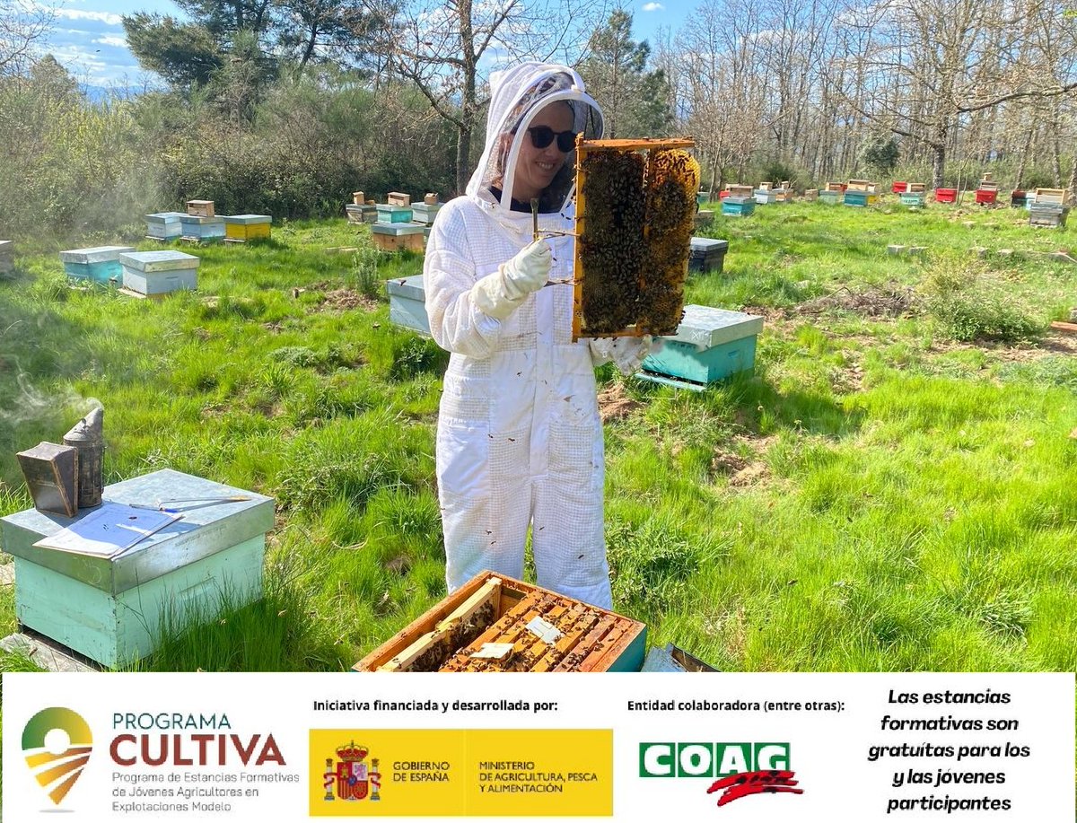 Hoy Natalia #ecoalpispa finaliza su estancia formativa #programaCULTIVA en la explotación #apicolaecologica 🐝 de Félix 🍯<a href="/mielsalvaxe/">mielsalvaxe</a>  
📍#VegadeEspinareda (#León) . Una experiencia para repetir. 
➕ℹ️
👉goo.su/rkURT5 
👉goo.su/2oKO2
@mapagob
<a href="/CoagCyl/">COAG CyL</a>