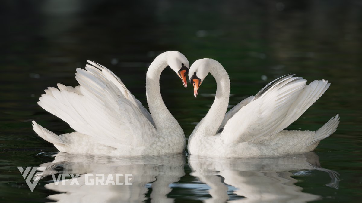 VfxGrace's tweet image. 🦢One of our most popular models! This Mute Swan features natural feather details and graceful posture—perfect for short films, virtual environments, animations, and more.
🛒 Link: vfxgrace.com/product/mute-s…
#3DModel #MuteSwan #BlenderModel #3DAsset #AnimalModeling