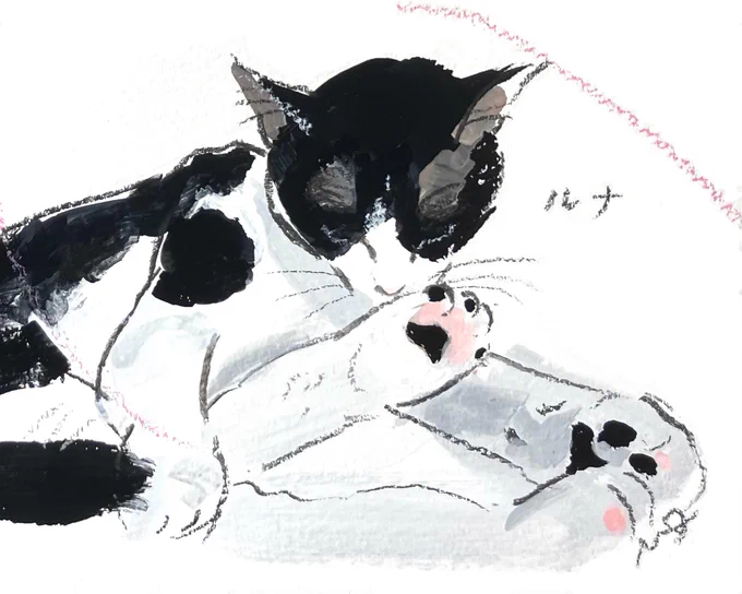 猫さんオーダー作品のご紹介 柔軟な手足のポーズで眠る ハチワレ猫さんです #猫いっぱいギャラリー #阪神梅田本店 #オーダーイラスト