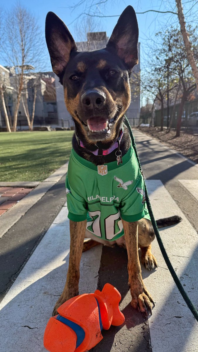 Tracy Buchholz tweet media