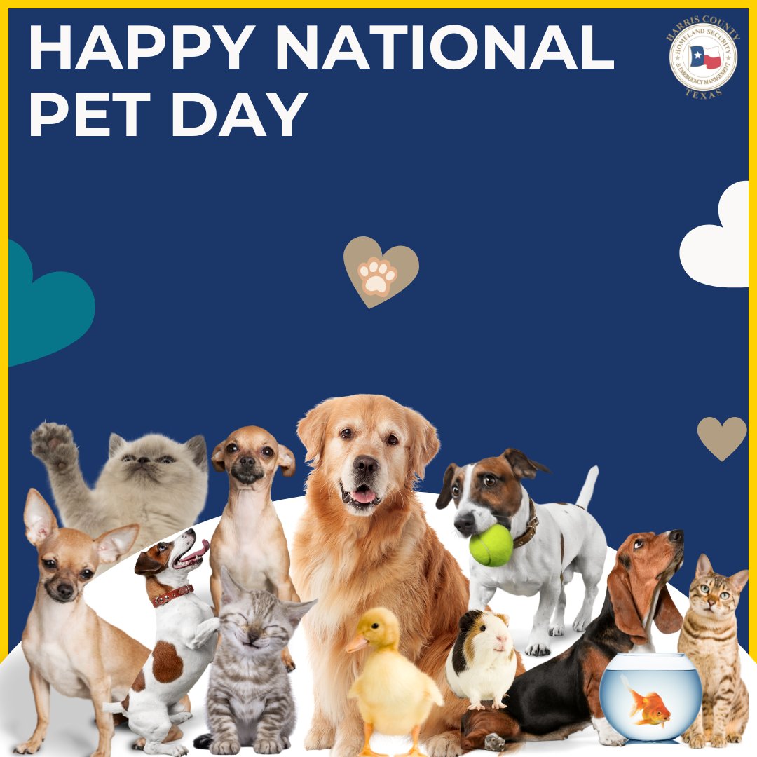 ReadyHarris's tweet photo. #NationalPetDay | When creating your emergency plan and kit, make sure to include your pets. They are an essential part of your family, and preparing for their safety in a disaster is just as important as planning for your own. Visit: https://t.co/rP5oCsk5Gu https://t.co/xtomhPPFOB