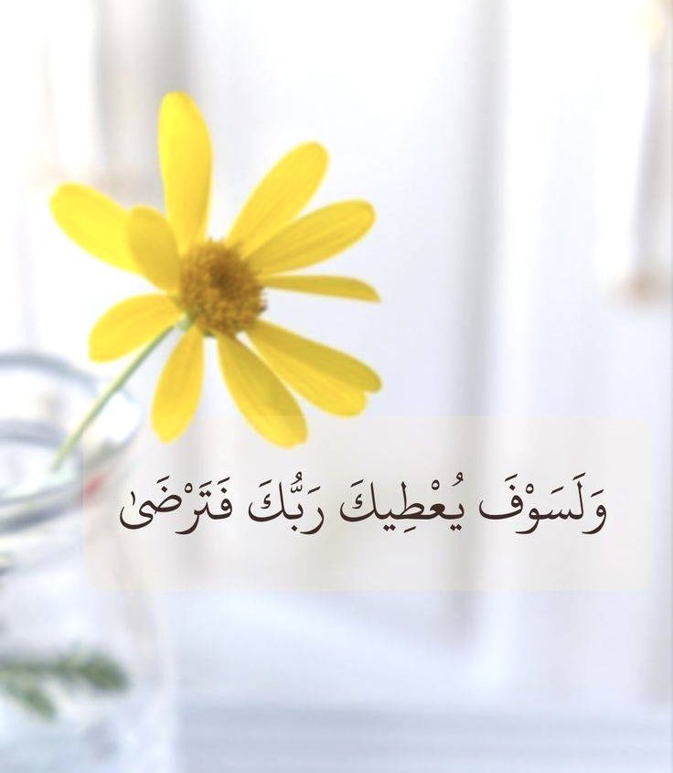 الحمد لله في سري وفي علني.. والحمد لله في حزني وفي سعدي ..
الحمد لله عمّا كنت أعلمه.. والحمد لله عمّا غاب عن خلدي.
#يوم_الجمعة