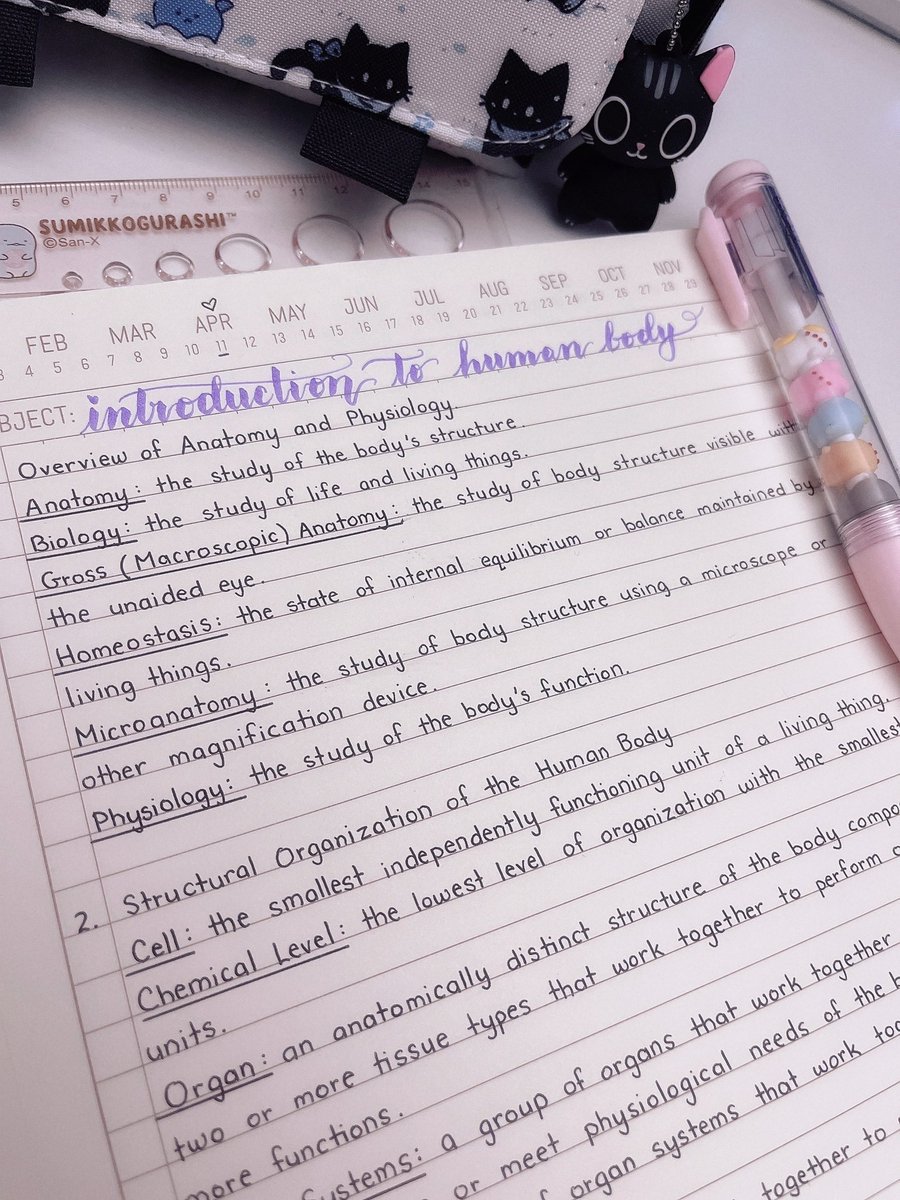 Late night studying 📚 🥰 reviewing some Anatomy and Physiology.

#futurenurse