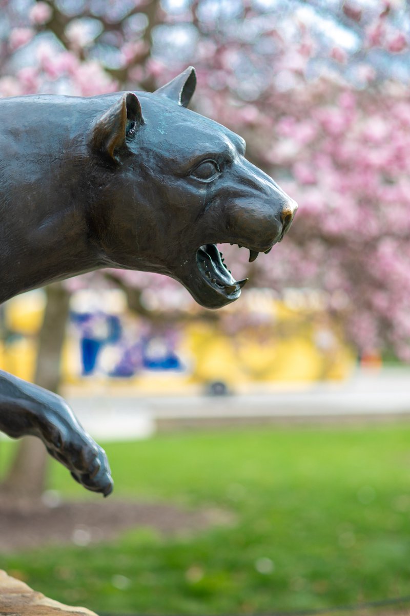 PittTweet's tweet image. In bloom