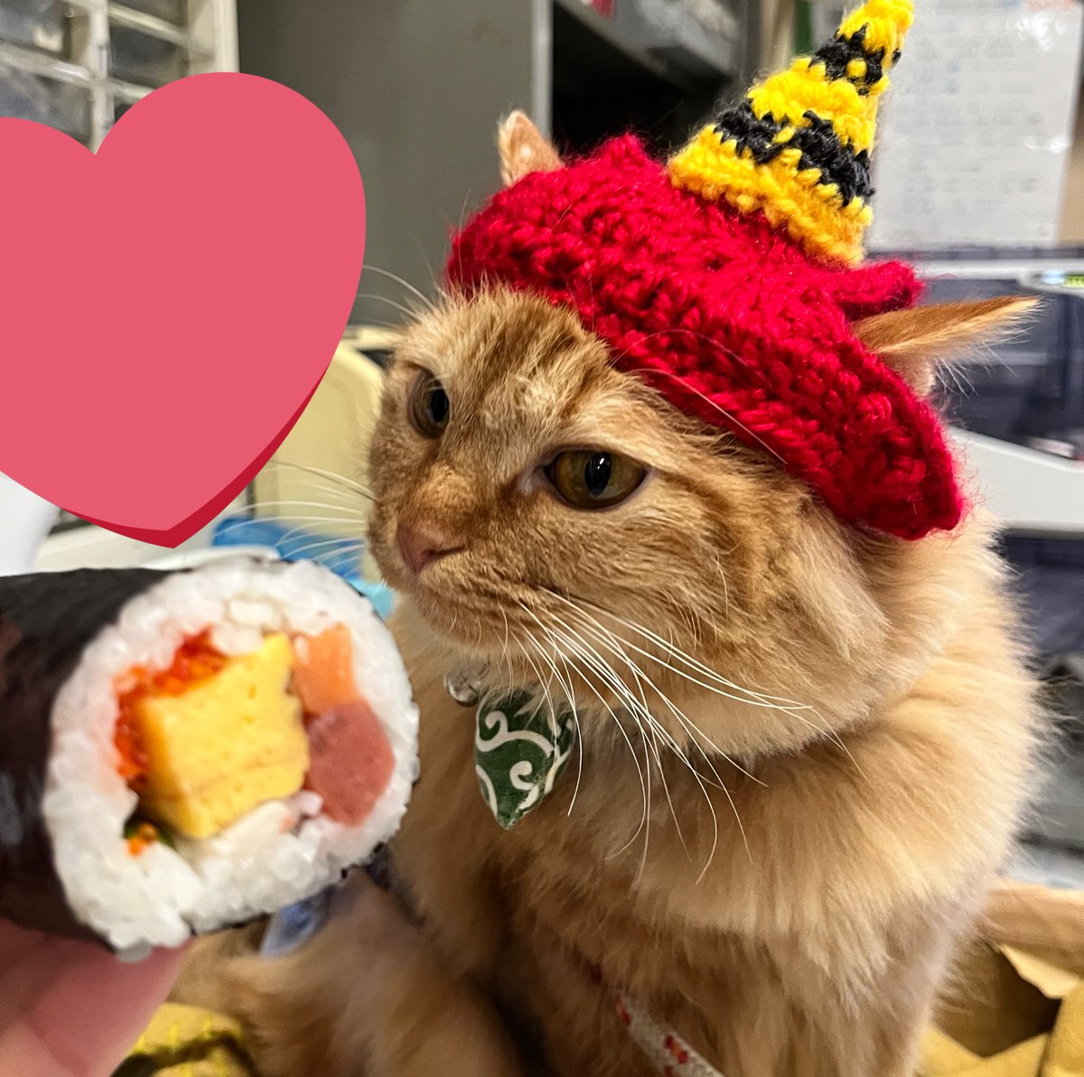 hako__124's tweet photo. 今年の節分は赤鬼の猫用帽子を編みました🧶　#猫　#ねこ  #編み物  #かぎ編み https://t.co/sTgNsIos1e