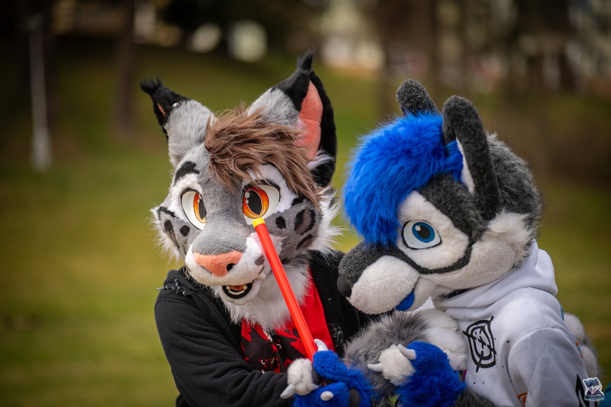 let me give you a little bonk <a href="/Toanir419/">Toanir RySkaa</a>  ^^ 

📷<a href="/SamyoFox/">SamyoFox</a>

#furry #fursuit #furryfandom #fursuiter #FursuitFriday