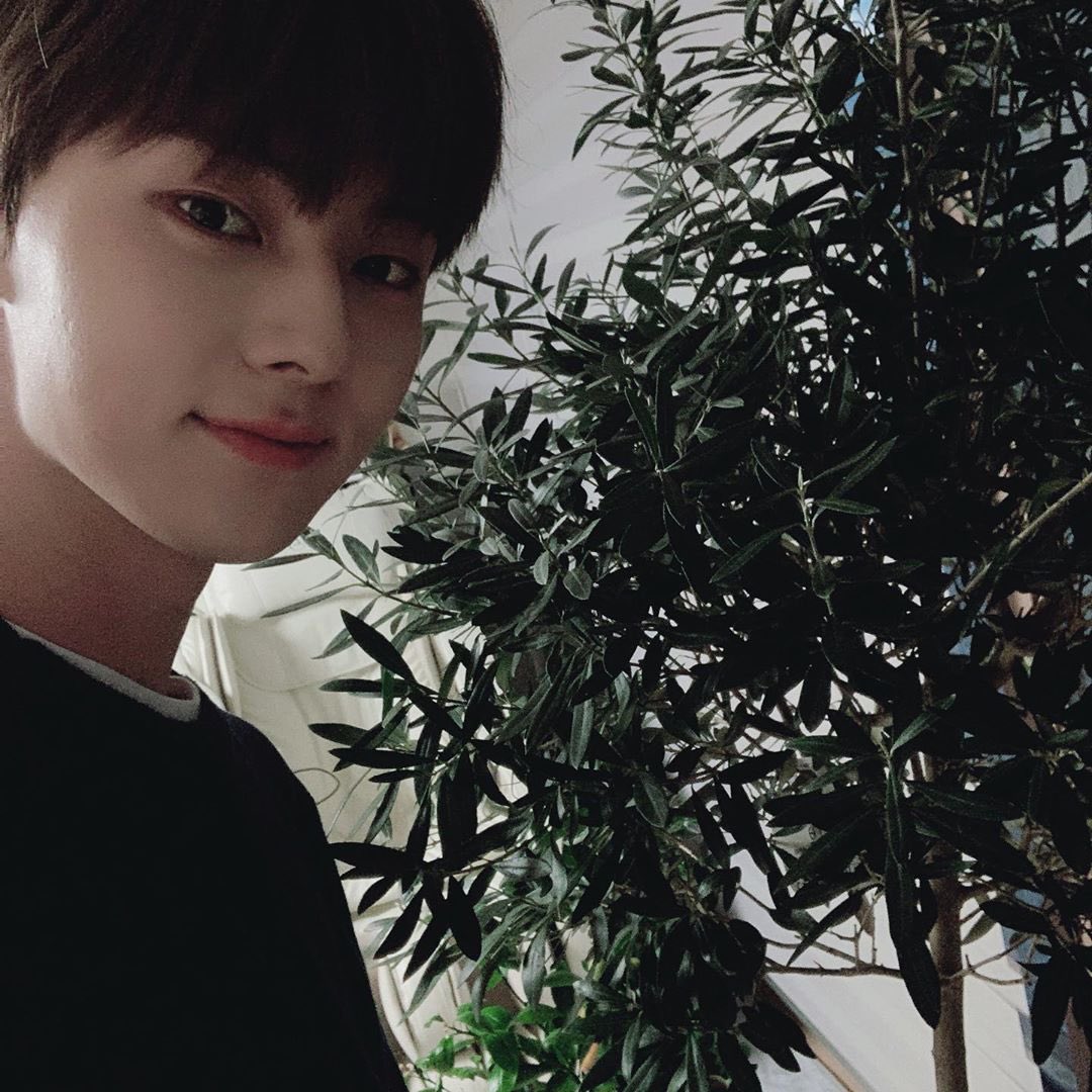 sparkling_0809's tweet photo. 🌳🌲🪴 https://t.co/RY817VJa5C