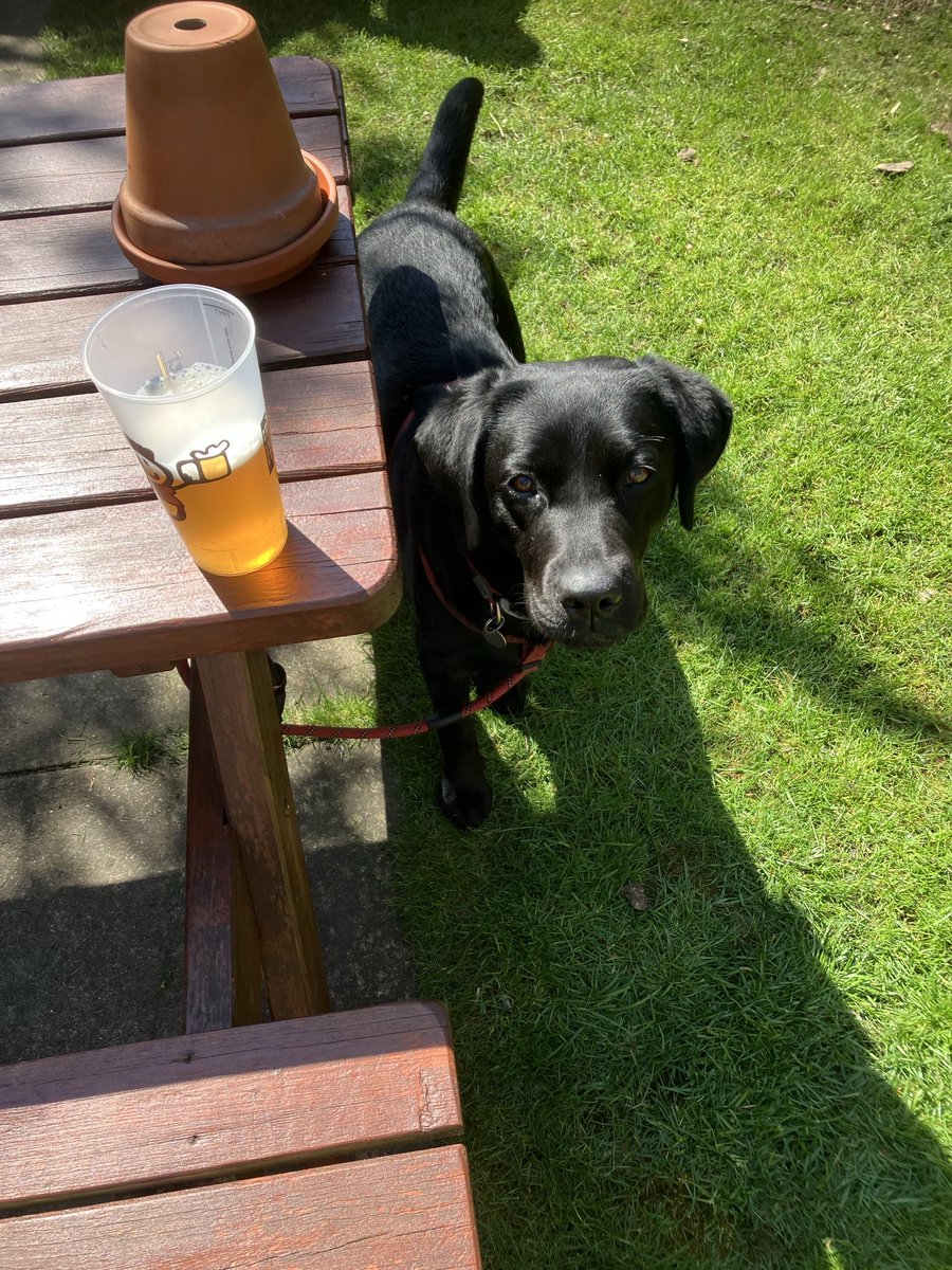 At the village beer festival again with 🐕 🍺