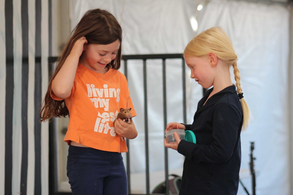 markhamfair's tweet photo. Little handlers, big hearts! 🐾✨ Happy National Pet Day! Sharing these sweet moments from our Children's Pet Show at Markham Fair. From wagging tails to tiny whiskers - these young handlers and their pets melted our hearts! 💙💛 #NationalPetDay #MarkhamFair #PetShow https://t.co/R6iCQ1PBJA