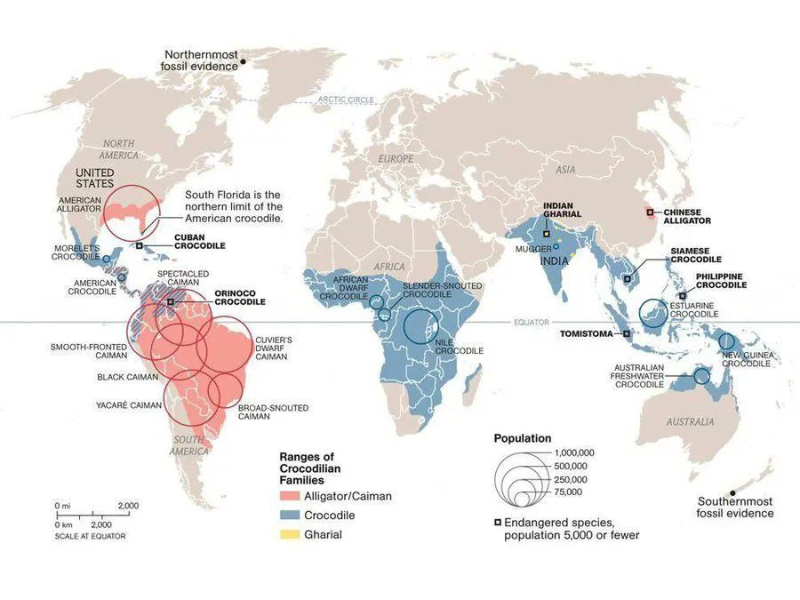 Are you being chewed on by an alligator or a crocodile? This map will help you answer this question. Source: buff.ly/S6iGDhc