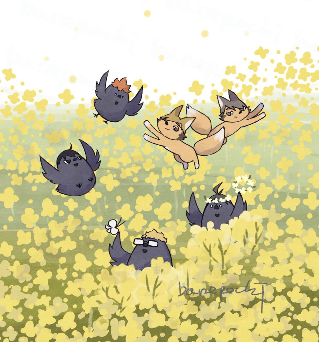 菜の花畑のカラス🌼（再掲