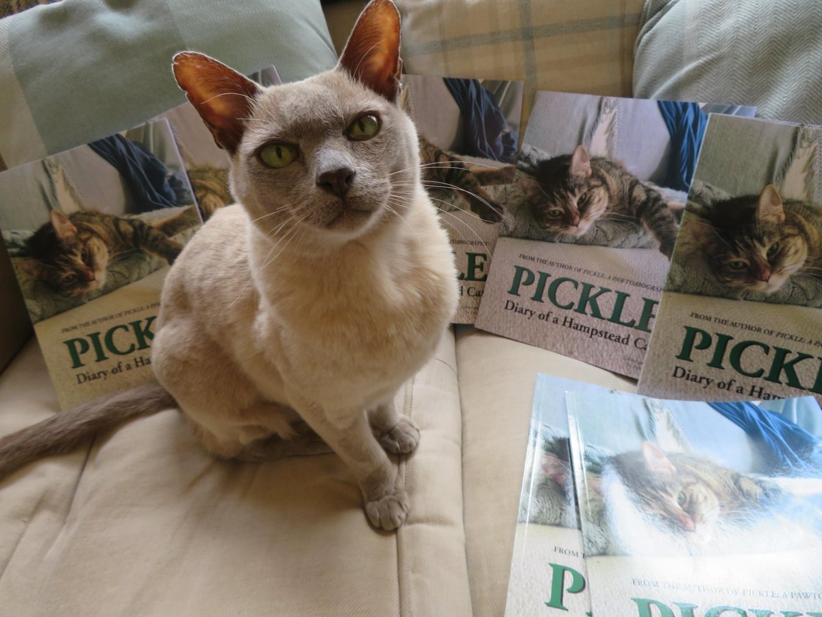 It's #NationalPetDay so I'm celebrating by re-reading my furrend <a href="/PickliciousF/">Pickle</a> 's brilliant books! ❤️📚 All profits to <a href="/FelineFriendsUK/">Feline Friends London</a> &amp; <a href="/AllDogsMatter/">All Dogs Matter</a> to help sad cats and dogs find the furrever homes. Available worldwide from Amazon. #PicklePawtobiography #PickleDiary ❤️😺🐶
