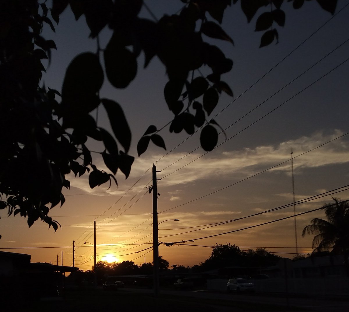 JorgeGNYCMIA's tweet photo. #Miami #Sky #Sunset #Palmtrees #photo #photodaily #phototoday #photoofthedaye #photogram #photograph #photographer #photography #photooftheweek #photos #photosession #photoshot #photostudio #skyphotography #sunrays #sunflares #lensflare #SunsetEvening https://t.co/SfENQKcZmI