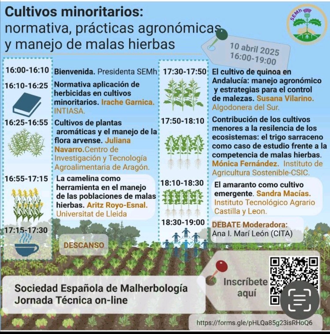 aparicionieves3's tweet image. Gracias a la #SEMh por permitirnos presentar los trabajos en #Cultivosminoritarios del @ITACYL
👉 "SemillasSinGluten"#Feader, con #AlmaPrima y #HernanVilla. 
👉 "Amarcyl", con @foodinnovatione, @CIALE_USAL , @AgriEnvironCyL 
👏👏 en este caso de la mano de #sandramaciasnaranjo.