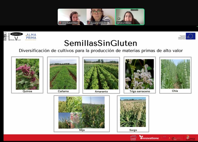 aparicionieves3's tweet image. Gracias a la #SEMh por permitirnos presentar los trabajos en #Cultivosminoritarios del @ITACYL
👉 "SemillasSinGluten"#Feader, con #AlmaPrima y #HernanVilla. 
👉 "Amarcyl", con @foodinnovatione, @CIALE_USAL , @AgriEnvironCyL 
👏👏 en este caso de la mano de #sandramaciasnaranjo.