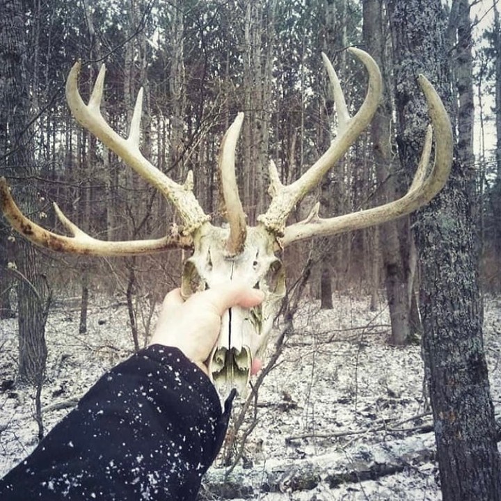 RT
What a unique deadhead! 🤯
#hunting #huntingcontent #bigwhitetail #FridayFeeling #titcoin