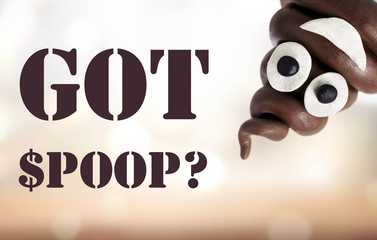 somnuzzzz313's tweet image. #poochain #poodotfun #poop $poop