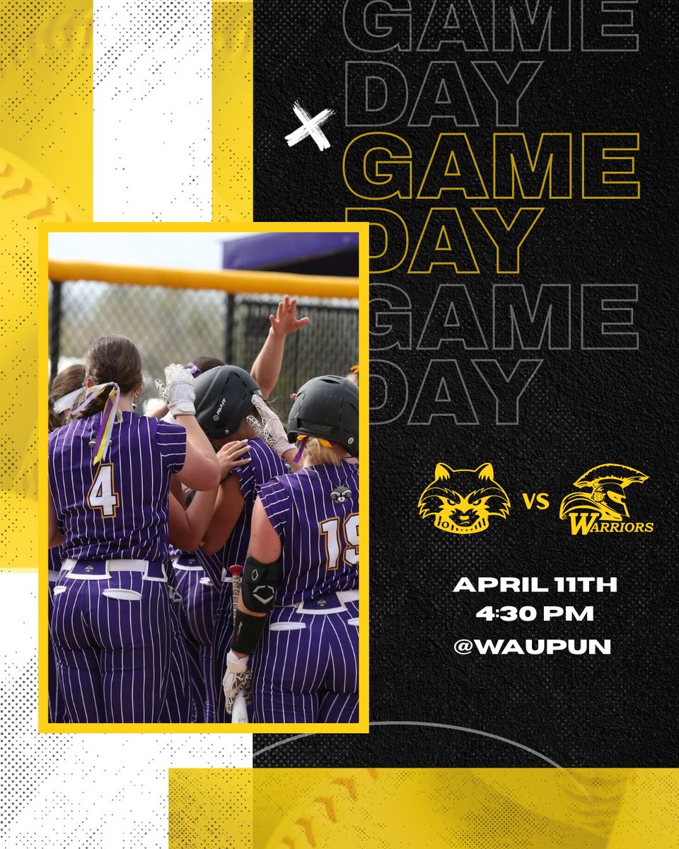 Oconomowoc High School Softball tweet media