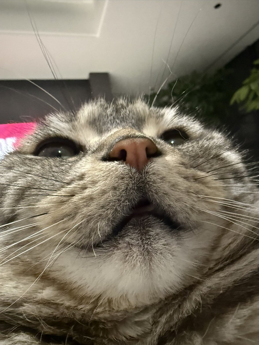 我怎么能拥有这么可爱的宝宝！