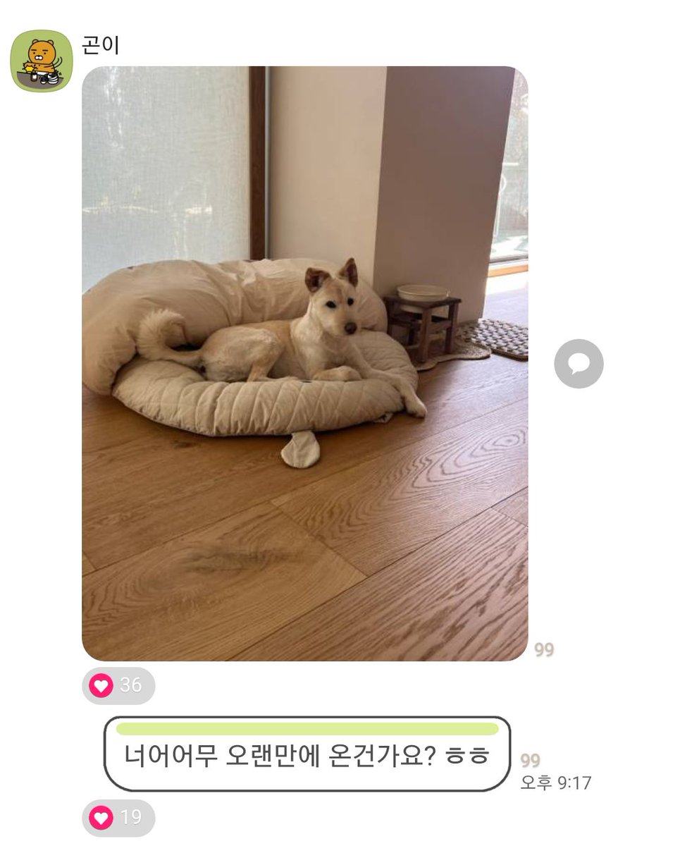 gonneung's tweet photo. 250411 #김고은 고독방 타래
고독방 주기적으로 찾아와주는 효녀 김고은 어떡해(positive) https://t.co/udyj7OeqVb