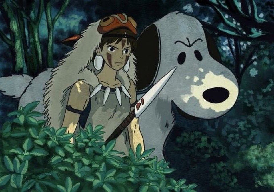 이태용과 김정우