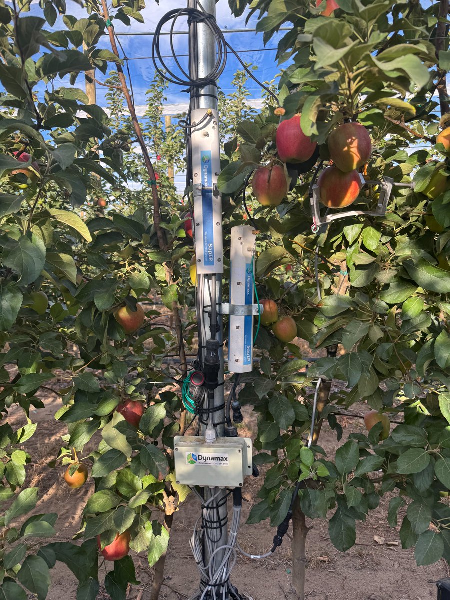 Dynamax, Inc. tweet media