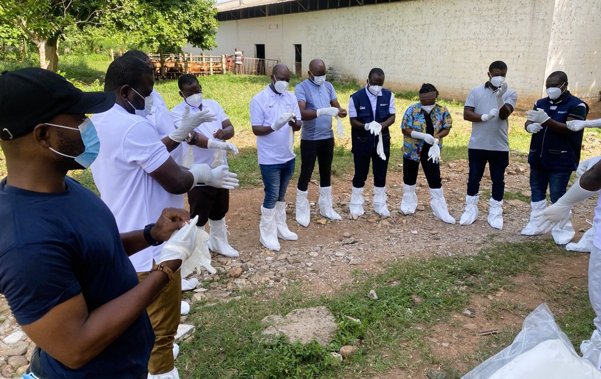FAOauTogo's tweet photo. Grâce au programme #ISAVET, 20 jeunes professionnels en santé animale et environnementale seront bientôt outillés pour mieux surveiller les maladies animales et améliorer la réponse aux urgences de #SantéPublique.
Une étape cruciale pour un #Togo plus résilient !
#PREPRUS
2/2 https://t.co/XYCXbRwrLy