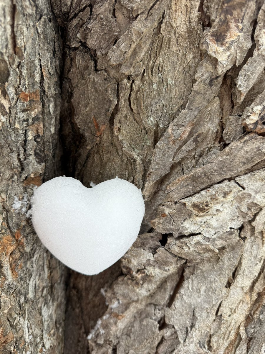 I love winter. 
But I am ready for spring.