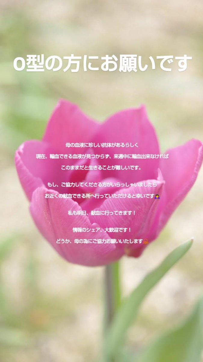 smallworld_nail's tweet photo. 母、O型で癌の闘病中です。

副作用の貧血で、輸血をしたいのですが、なかなか合う血液が見つからない状況です。

ご協力いただけると幸いです。 https://t.co/Udtp4vp5WK