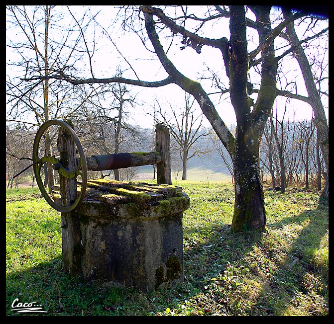 caco_darkage's tweet photo. --Old well
#photography #old #oldwell https://t.co/cUzmQs92gA