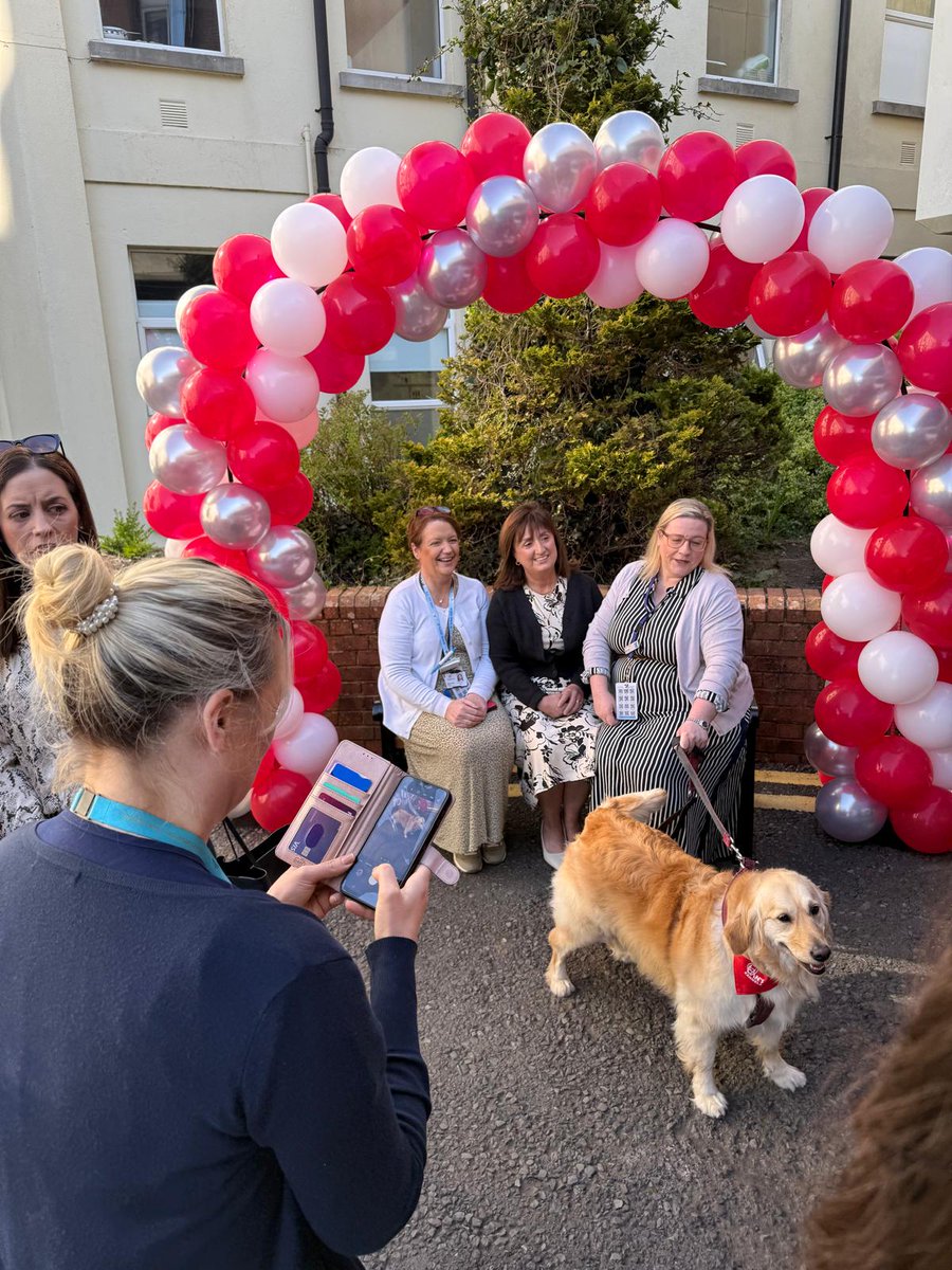 ICS_Furniture's tweet photo. 🐶💕Today we attended the official opening of Ireland's first mobile pet therapy service in Mullingar Regional Hospital. This will allow children and teenagers staying at the hospital to interact with trained and certified therapy dogs.We wish @CiansKennels the very best. https://t.co/hCxmyn4faZ