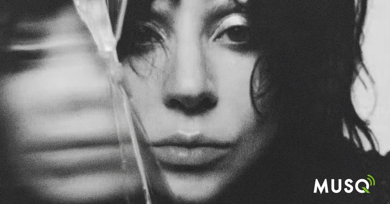 🎧 New series drop: Business Behind The Beat
We’re digging into the power players behind the music — the companies, platforms &amp; profits that turn hits into empires.
First spotlight: Lady Gaga. musqetf.com/posts/business…