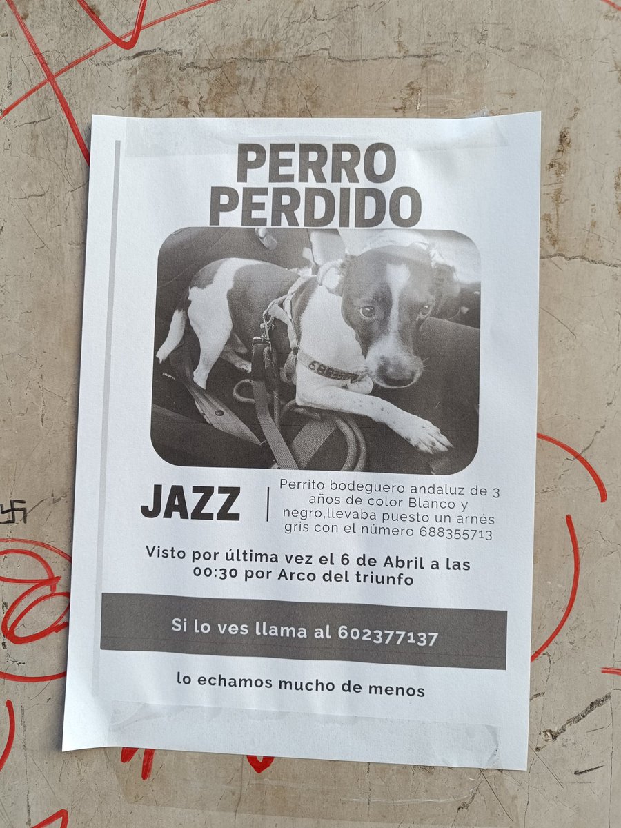 david_mp_chulin's tweet image. Cartel visto en Barcelona, vía Laietana #perdidos #perduts #perroperdido