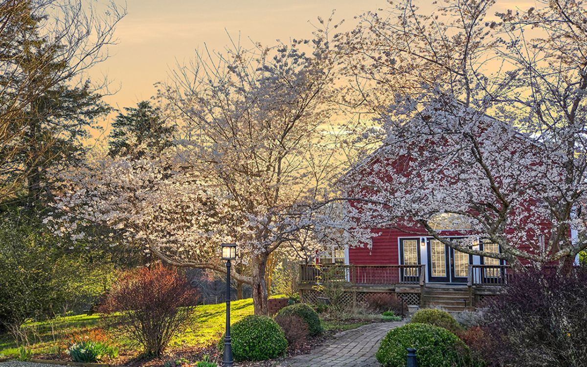 CentralVaFarms's tweet photo. White Rock Woods: Charming Country Retreat for Sale - https://t.co/ul6FWo7kEO Located ten minutes from Scottsville, VA and 40 minutes from Charlottesville and UVA.  Offered at $595,000. https://t.co/UY2ld6MOYK