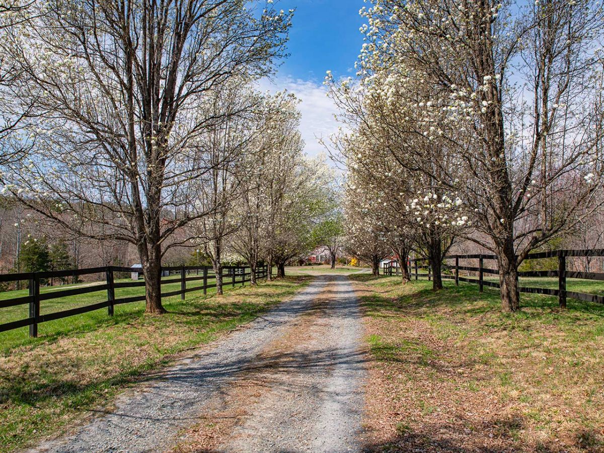 White Rock Woods: Charming Country Retreat for Sale - mailchi.mp/gayleharveyrea… Located ten minutes from Scottsville, VA and 40 minutes from Charlottesville and UVA.  Offered at $595,000.