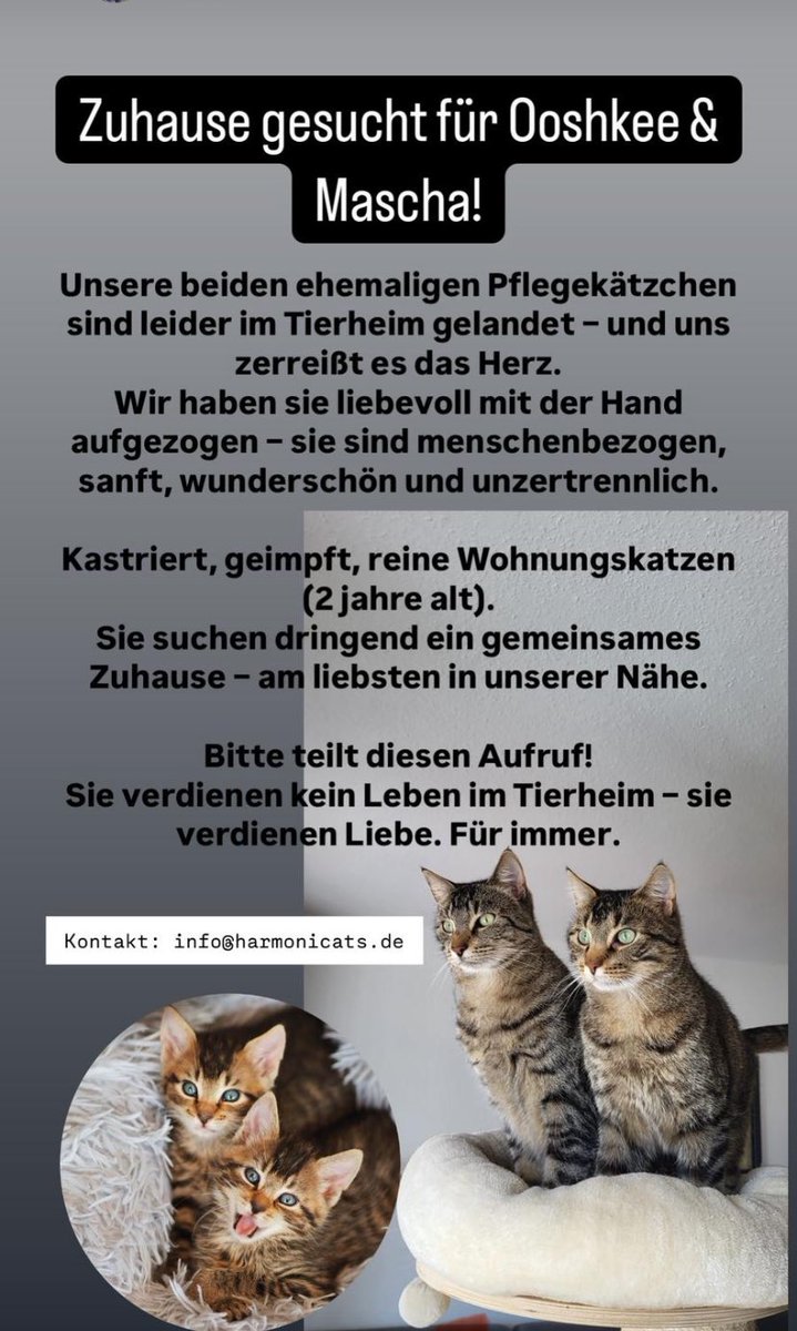 Die ⁦<a href="/harmonicatsDE/">harmonicats.de</a>⁩  aus Paderborn haben ein dringendes Anliegen 🙏